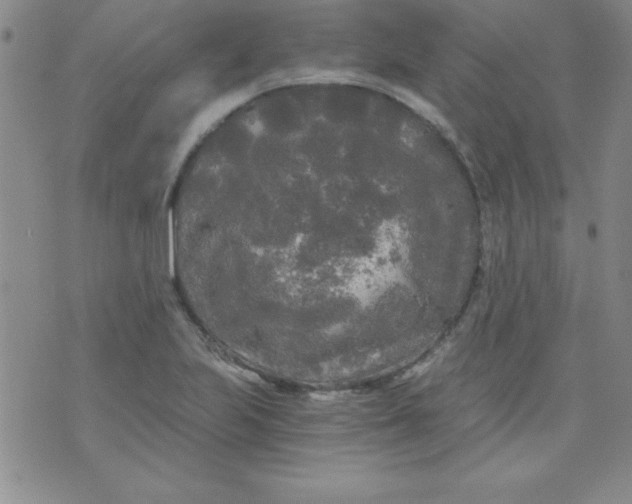 X0000071331223200607141857