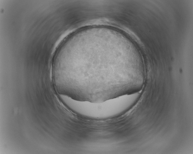 X0000071331224200607141857