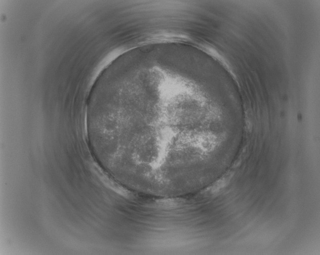 X0000071331227200607141857