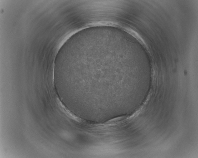 X0000071331228200607141857