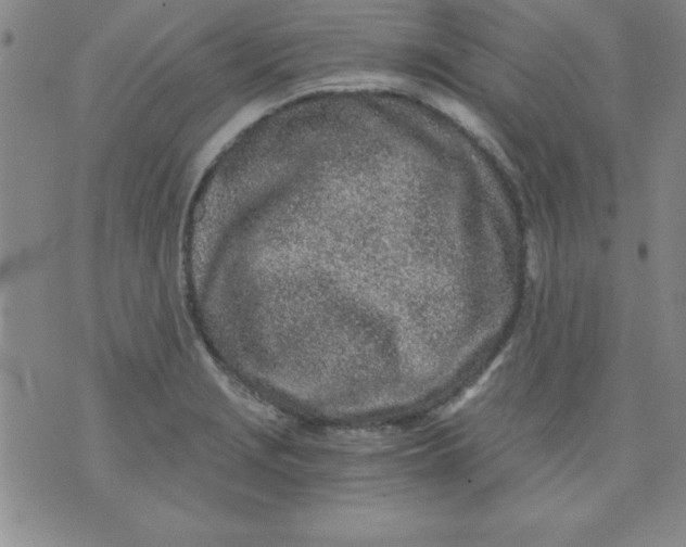 X0000071331229200607141857