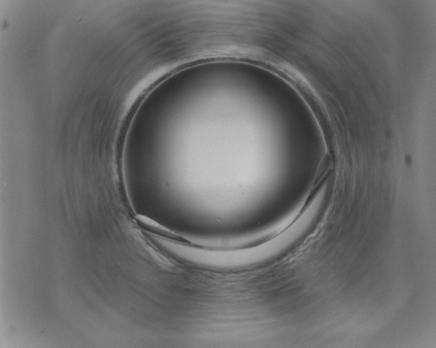 X0000071331230200607141857