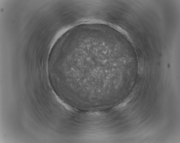 X0000071331231200607141857