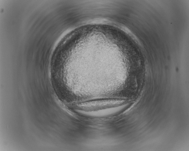 X0000071331232200607141857