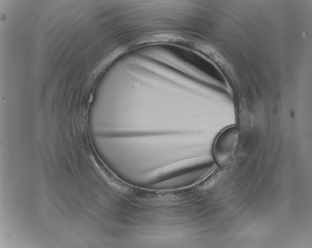 X0000071331233200607141857