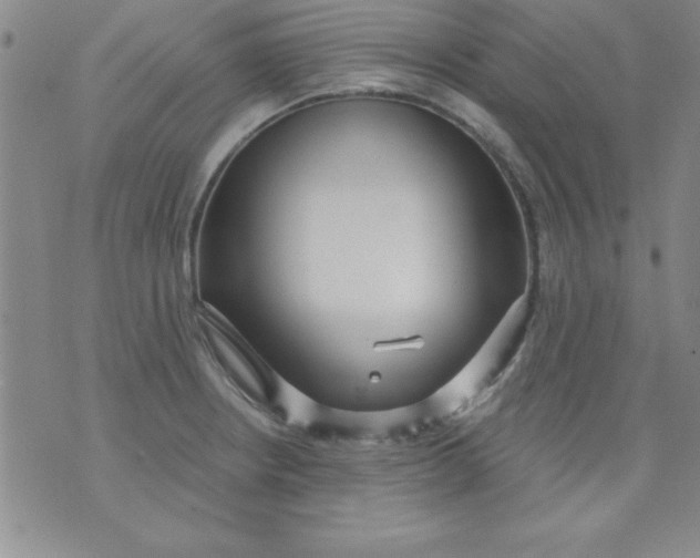 X0000071331234200607141857