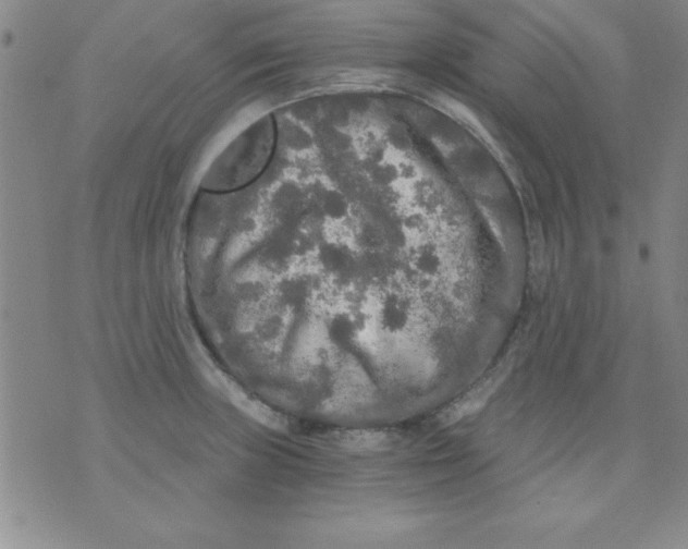 X0000071331235200607141857