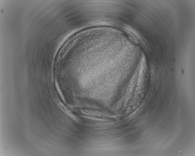 X0000071331236200607141857