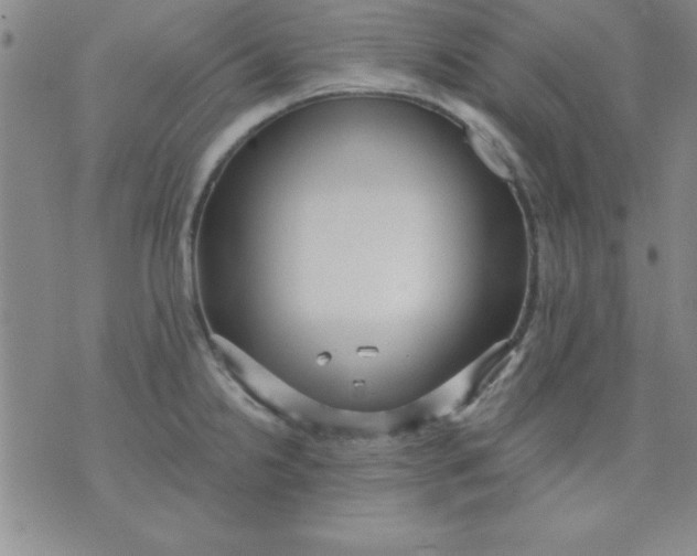 X0000071331238200607141857