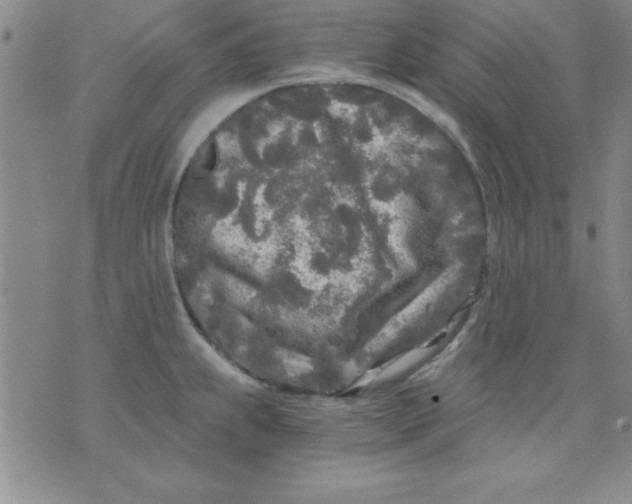 X0000071331239200607141857