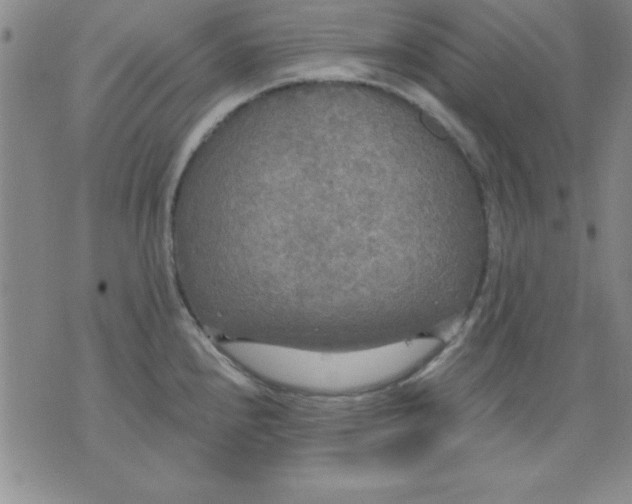 X0000071331240200607141857