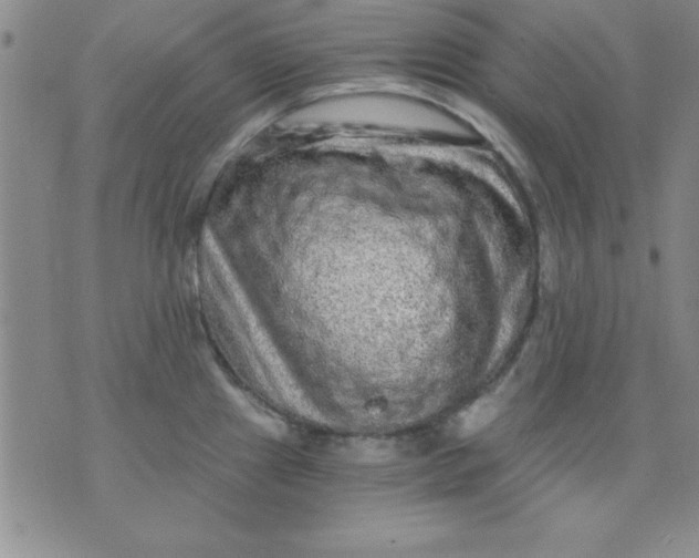 X0000071331241200607141857