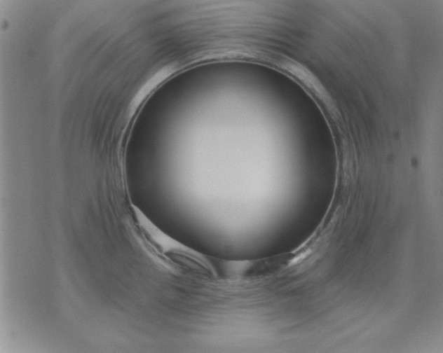 X0000071331242200607141857