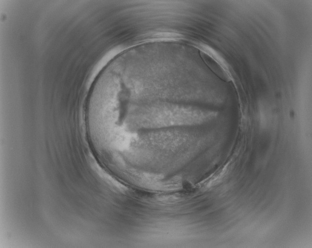 X0000071331243200607141857