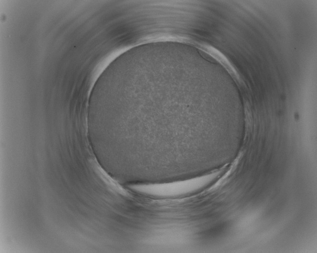 X0000071331244200607141857