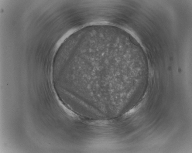 X0000071331245200607141857