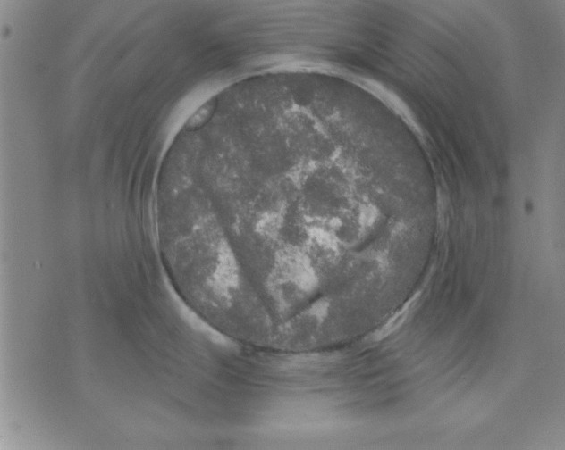 X0000071331247200607141858