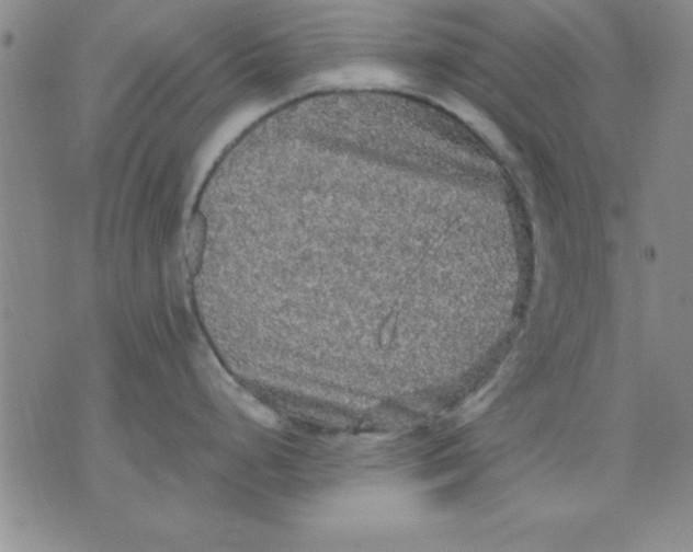 X0000071331248200607141858