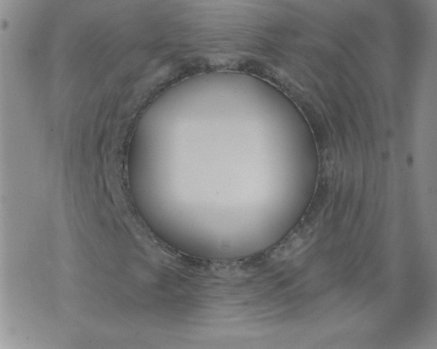 X0000071331249200607141857