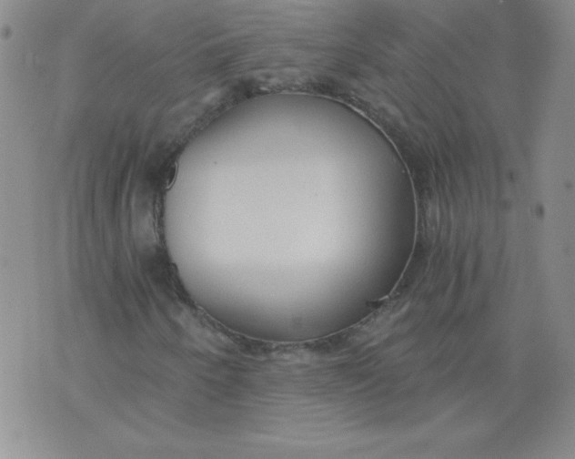 X0000071331250200607141857