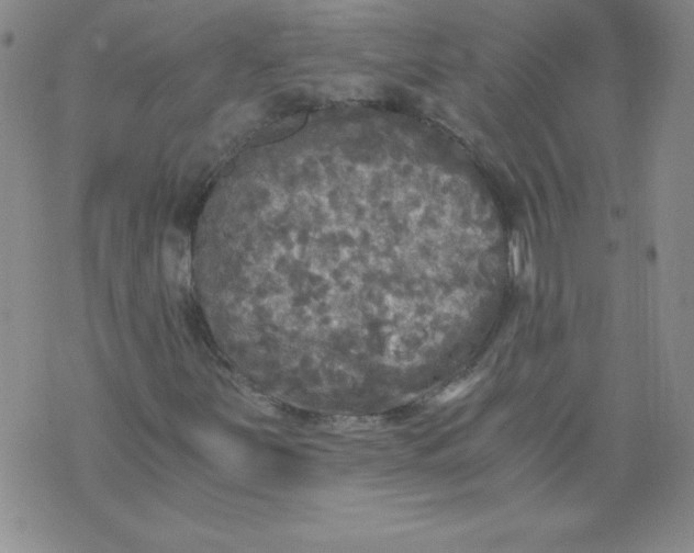 X0000071331251200607141857