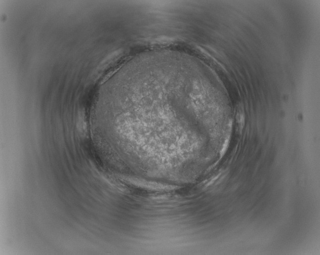 X0000071331252200607141857