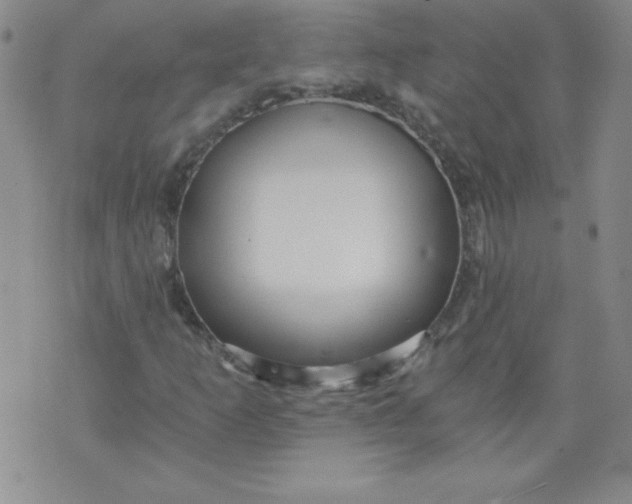 X0000071331253200607141857