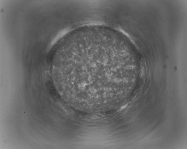 X0000071331255200607141857