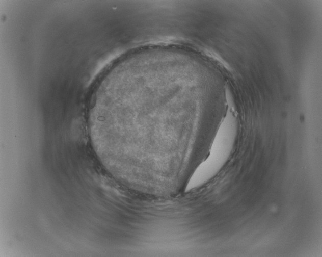 X0000071331256200607141857