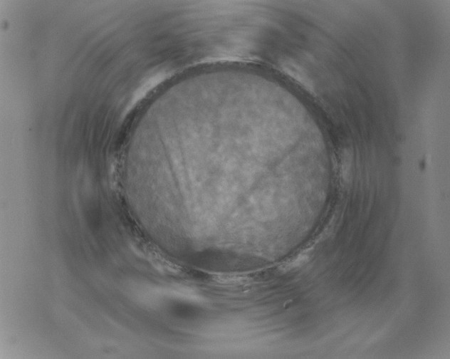 X0000071331258200607141857