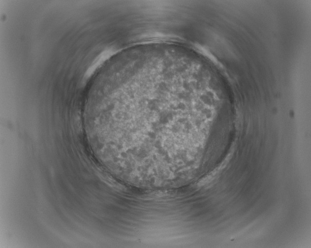 X0000071331259200607141857