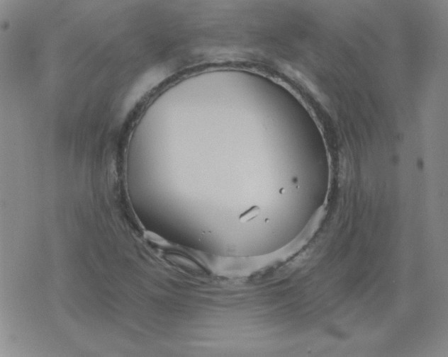 X0000071331261200607141857