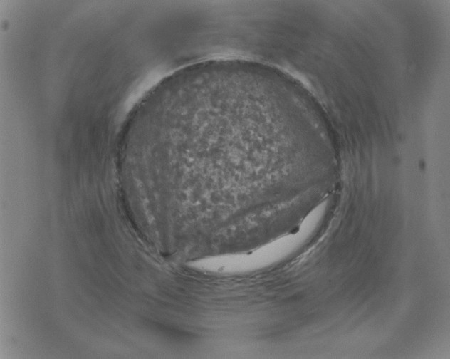 X0000071331263200607141857