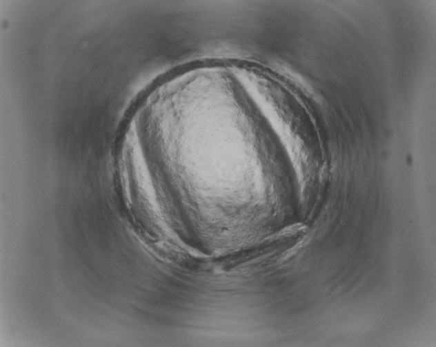 X0000071331264200607141857