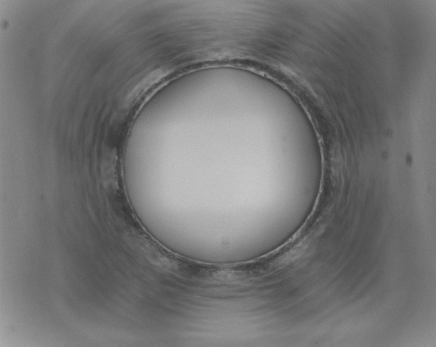 X0000071331265200607141856