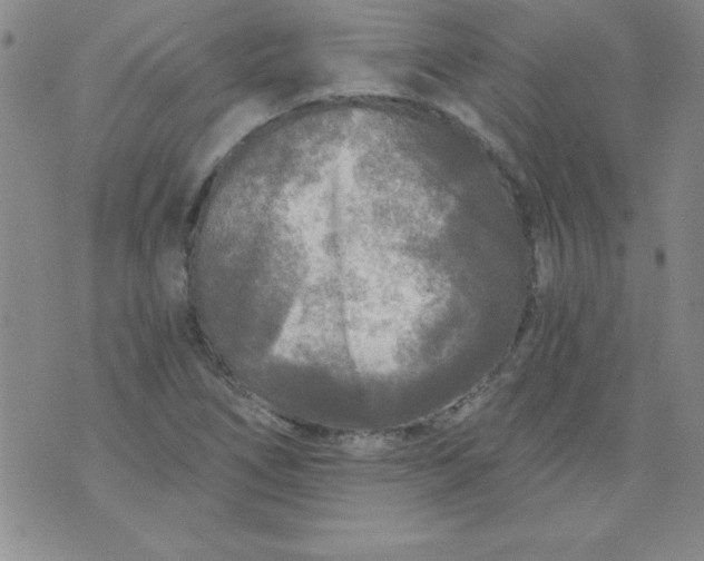 X0000071331266200607141856