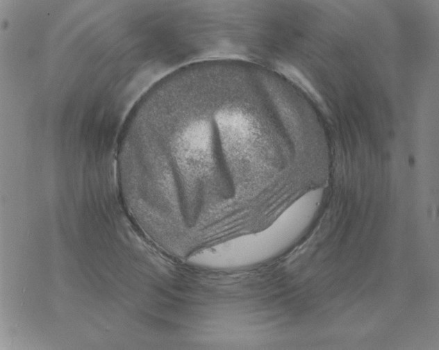 X0000071331268200607141856