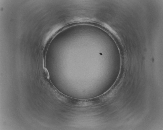 X0000071331269200607141856