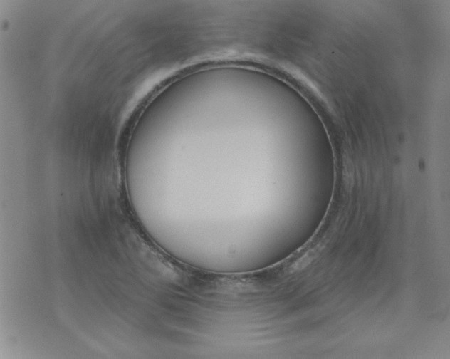 X0000071331270200607141856