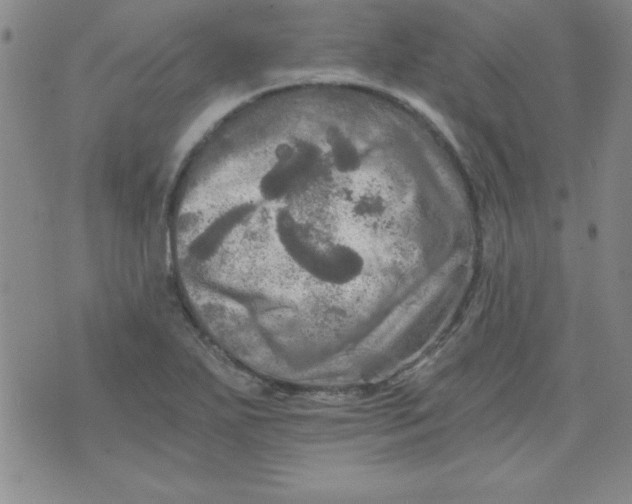 X0000071331271200607141856