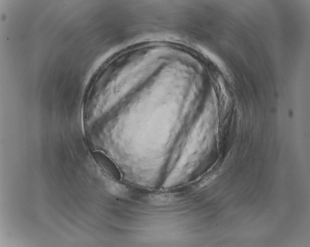 X0000071331272200607141856