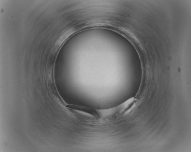 X0000071331273200607141856