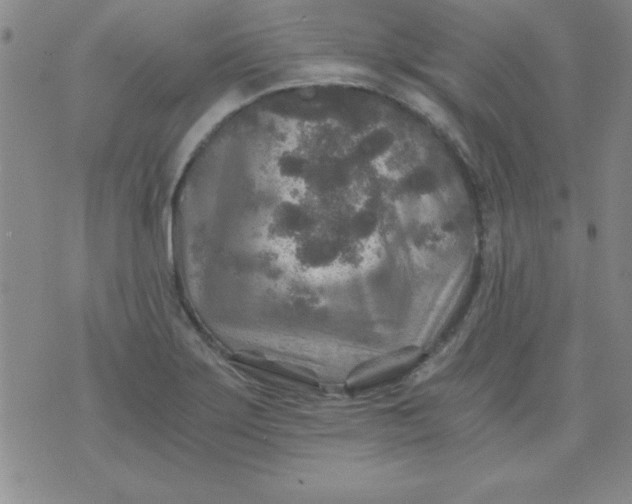 X0000071331275200607141856