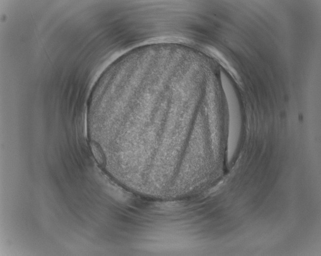 X0000071331276200607141856