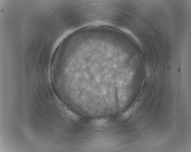 X0000071331278200607141856