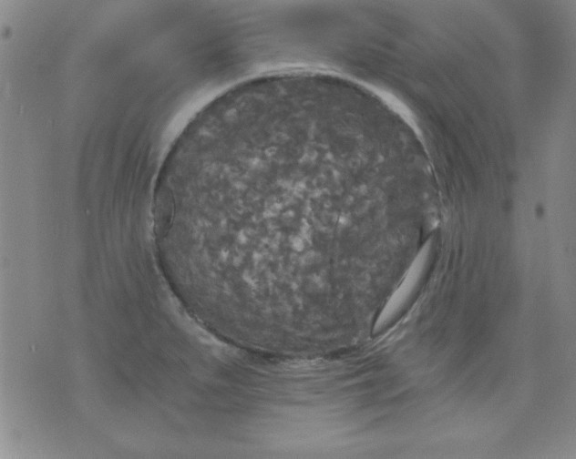 X0000071331279200607141856