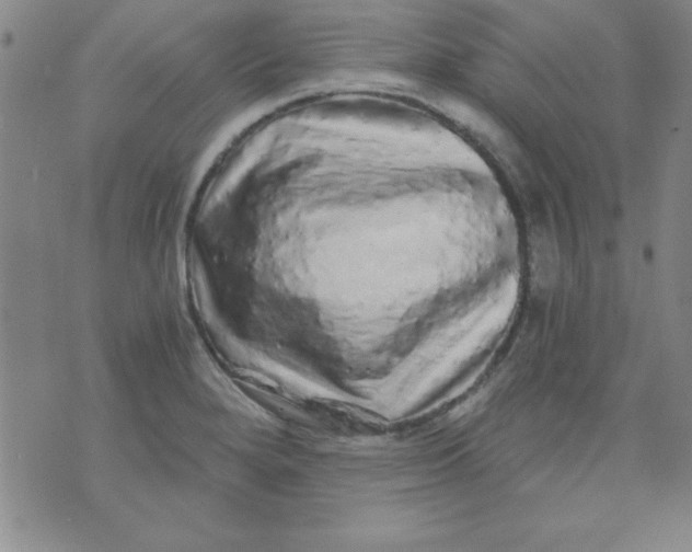 X0000071331280200607141856