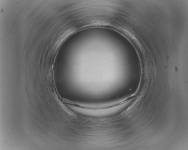 X0000071331281200607141856