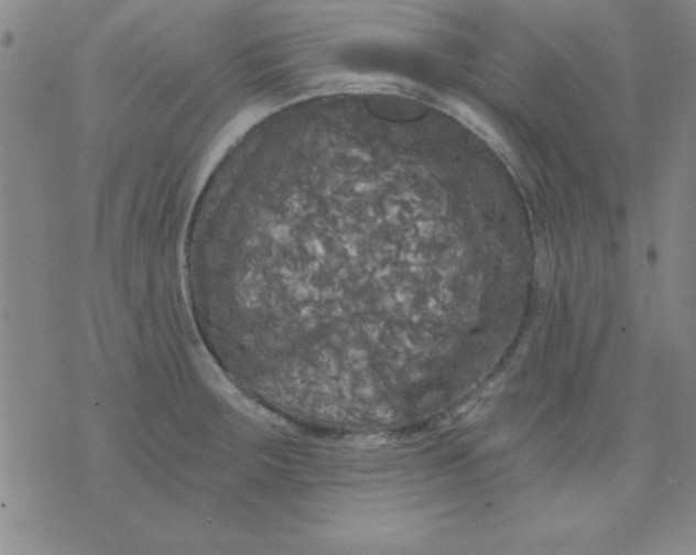 X0000071331283200607141856