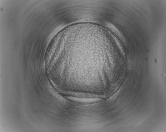 X0000071331284200607141856